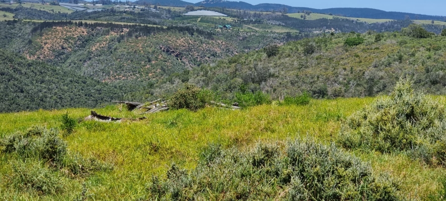  Bedroom Property for Sale in Knysna Rural Western Cape